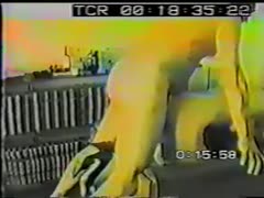 When I take charge of sex and fuck her from behind, my black cock sluts can't survive without it.